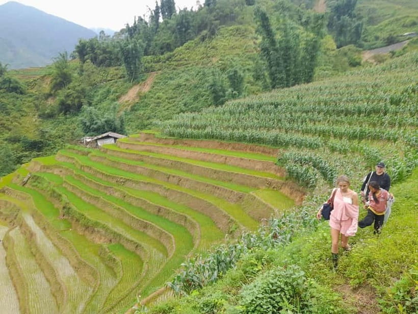 2-Day Sa Pa Ethnic Homestay Tour & Trek with Limousine Bus - Value check: why this 2-day plan can beat DIY in Sa Pa