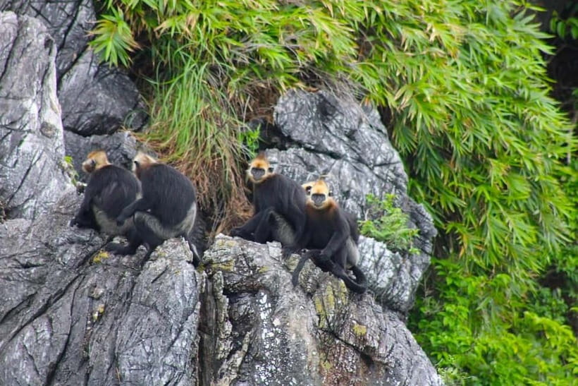 3-Day Discover the most stunning Cat Ba Island - Lan Ha Bay - Key things I’d plan around on this 3-day Lan Ha Bay trip