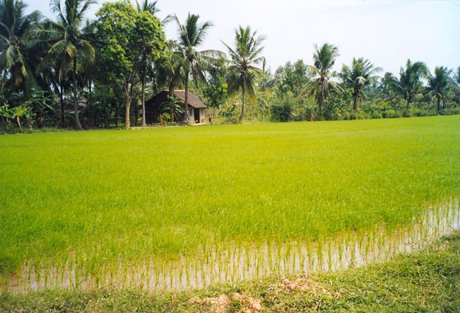 A Day Tour to Cu Chi Tunnels and Mekong Delta - Tips to make your day smoother