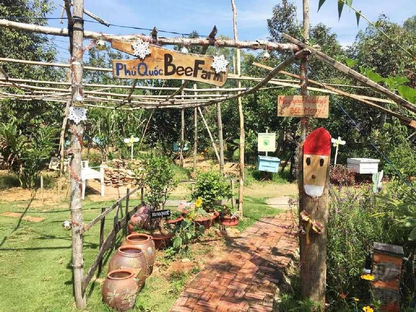 Best Seller Northern Phu Quoc & Kayak Aventure with lunch - Key highlights you’ll feel right away