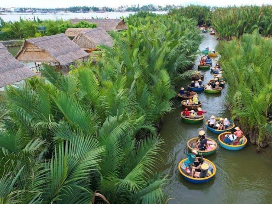 BUFFALO RIDING -BASKET BOAT & BIKE TOUR-HOI AN - The food stop: Hoi An dishes plus flexible dietary changes