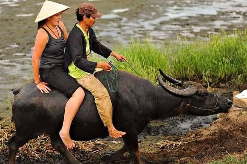 Buffaloe Riding/Ceramic/Cafe/Lantern Class/Basket Boat/Lunch - Buffalo Riding Through Rice Fields: Short, Fun, and Surprisingly Informative