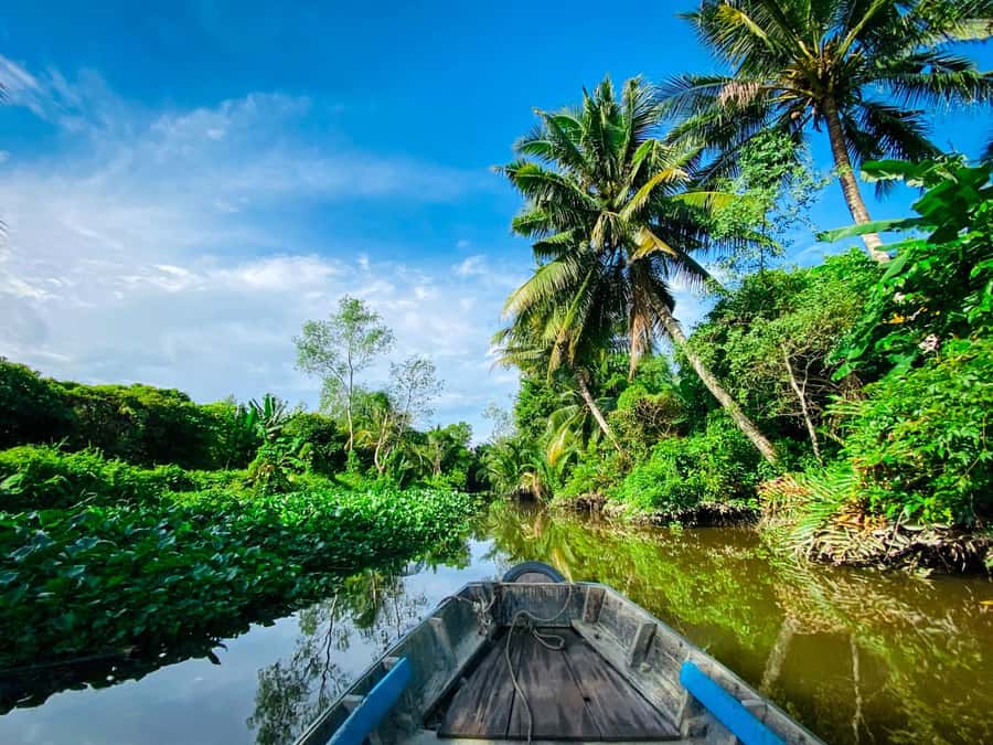 Can Tho: A Real Mekong Tour, Floating Market, Cacao & Life's - Organic cacao farm and cacao milk: why people remember this stop