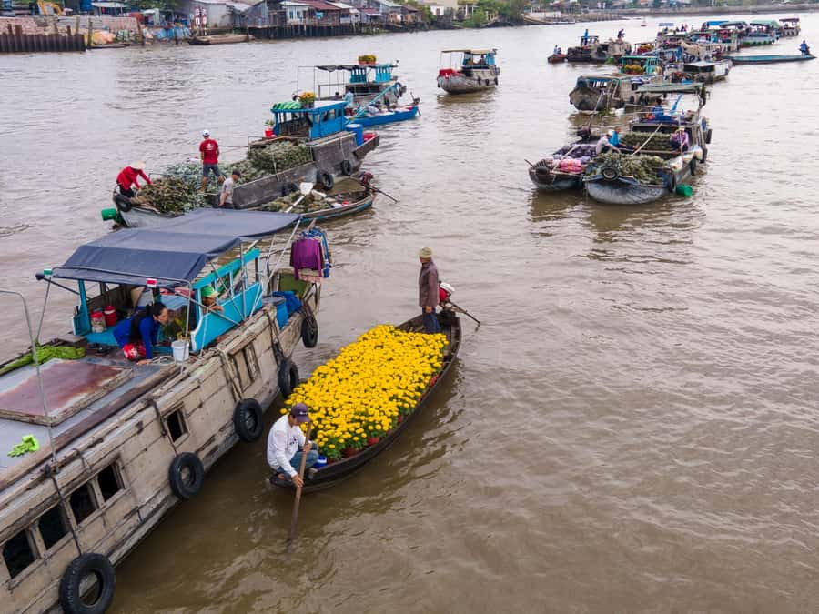 Can Tho: A Real Mekong Tour, Floating Market, Cacao & Life's - The 5:00 AM pickup: logistics that affect your comfort and photos