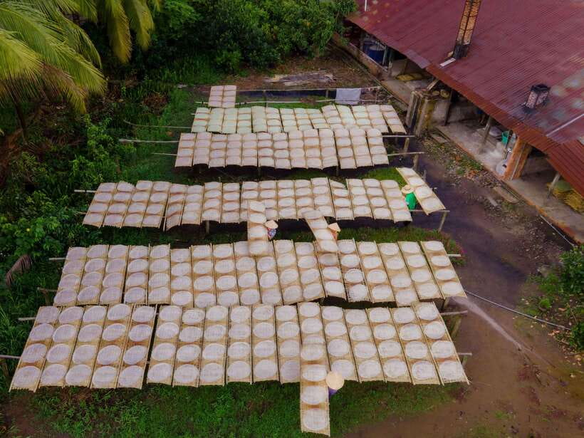 Can Tho: Explore Mekong, Floating Market, Cacao & Local Life - Logistics that can trip you up (so plan smart)