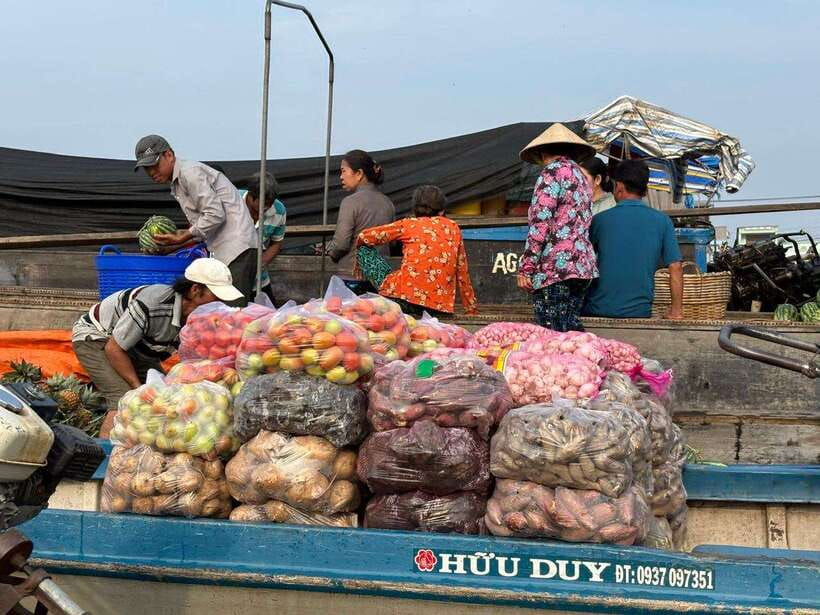 Can Tho: Floating Market, Canal, Cacao Farm & Mekong' Life - The rice noodle factory: watching your breakfast get made