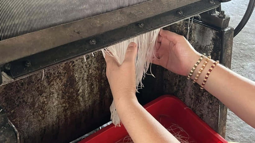 Can Tho: Floating Market explore local life, Mekong farm - Price and Value: What $54 Actually Buys You