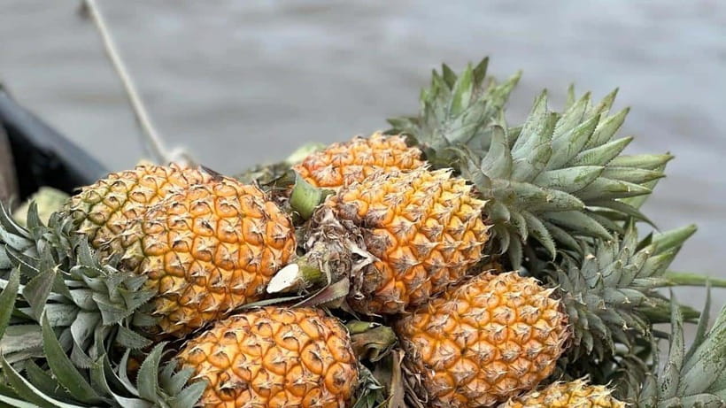 Can Tho: Floating Market explore local life, Mekong farm - Cái Răng Breakfast on the Water and the Pineapple Boat Stop