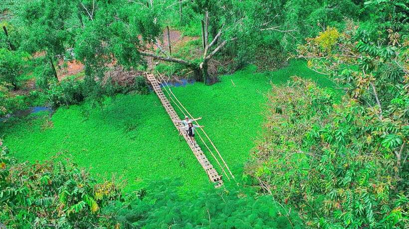 Can Tho: Floating Market & Lung Ngoc Hoang Nature Reserve - Phong Dien canals: the calm ride that makes the whole day feel balanced
