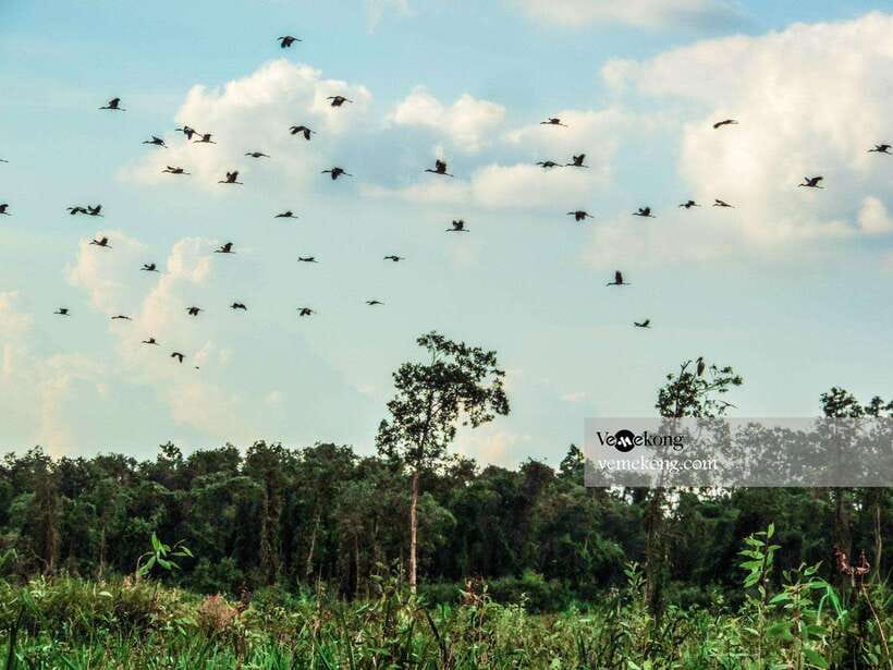 Can Tho: Lung Ngoc Hoang Forest Nature Reserve Half-Day Tour - Your guide matters: Duy, Lâm, and the way small groups work