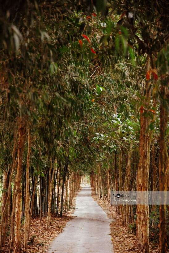 Can Tho: Lung Ngoc Hoang Nature Reserve & Forest Tour - Why Lung Ngoc Hoang feels different from Can Tho’s usual stops