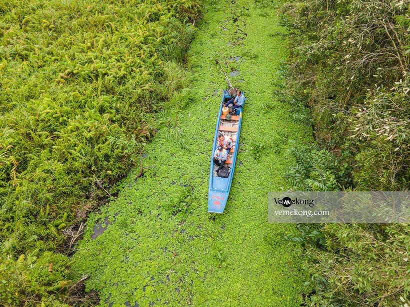 Can Tho: Lung Ngoc Hoang Nature Reserve & Forest Tour - Guide style: what you’ll learn from Duy, Lâm, Thomas, Nhuy Y, and Minh