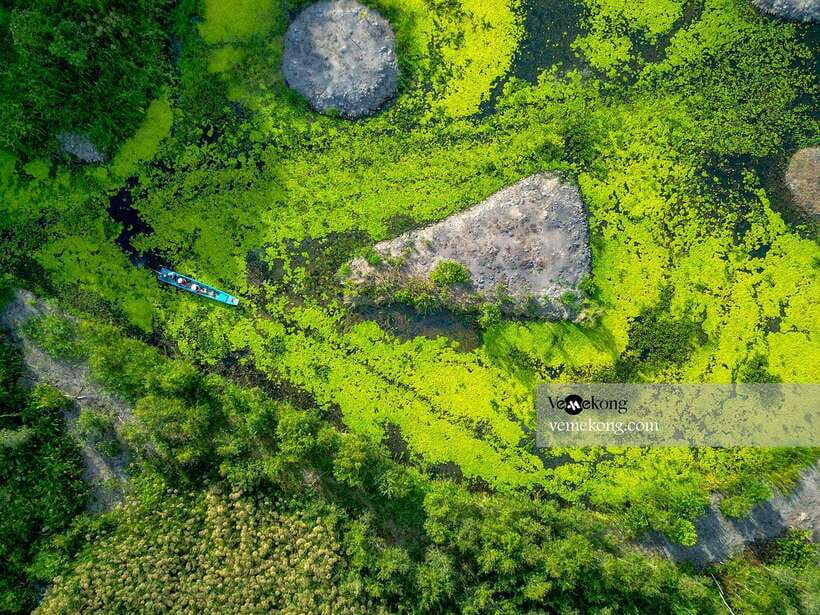 Can Tho: Lung Ngoc Hoang Nature Reserve & Forest Tour - What to pack so you enjoy the wetland day
