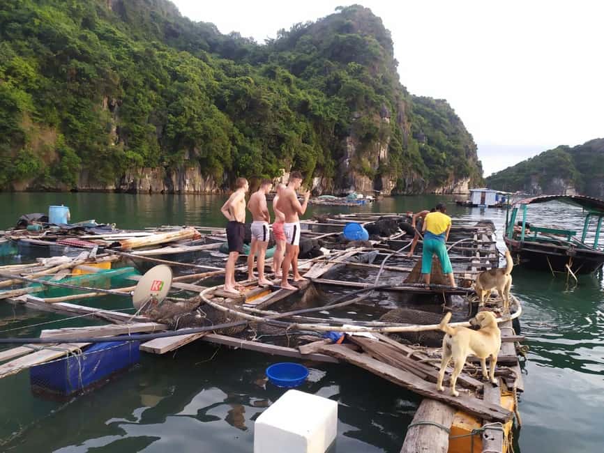 Cat Ba: 2-Day Lan Ha Bay Cruise with Plankton Excursion - Price and Value: What $114 Covers (and What It Doesn’t)