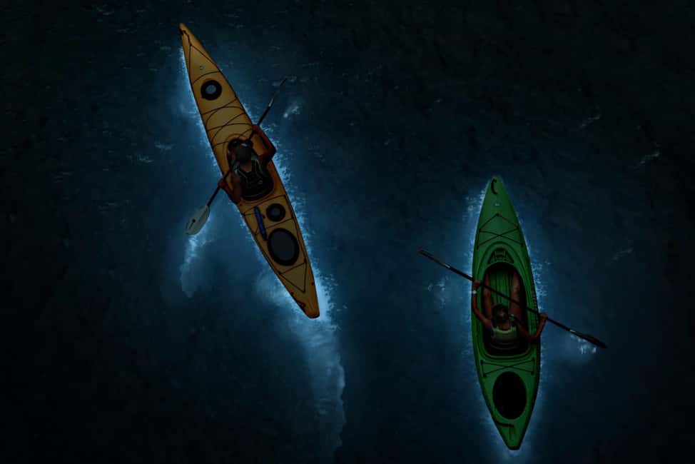 Cat Ba: 2-Day Lan Ha Bay Cruise with Plankton Excursion - The Plankton Excursion: The Night Show You Can Control