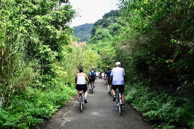 Cat Ba: Full- day trip with biking, kayaking, meal, tickets - Guides, Team Energy, and What “Good Organization” Means Here