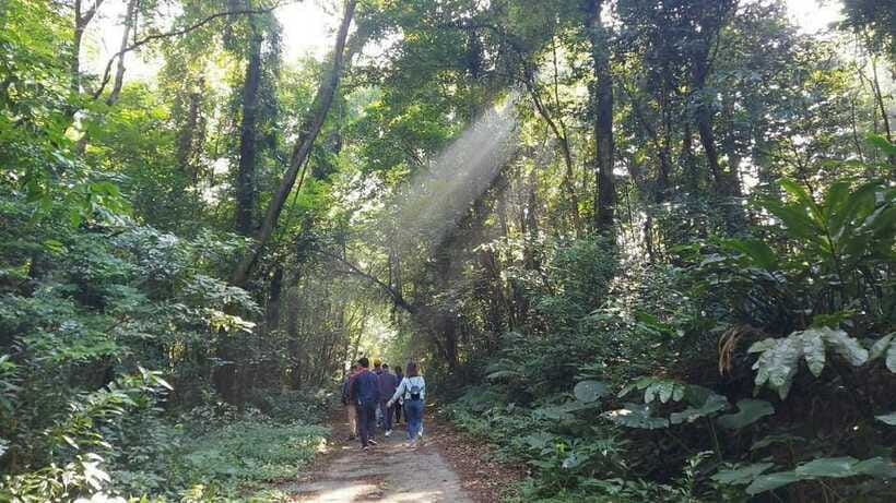 Cat Ba: National Park Day Trip with Cycling and Kayaking - Cycling to Viet Hai harbor: the scenic part that sets up kayaking