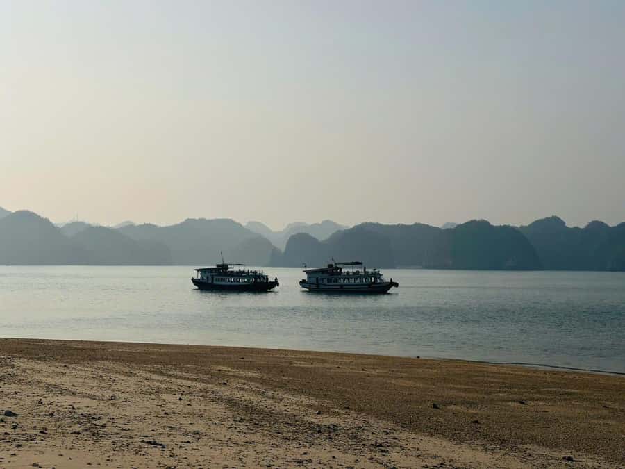 Cat Ba: Night Kayaking with Glowing Plankton - Lan Ha Bay at night: why this kayaking plan works