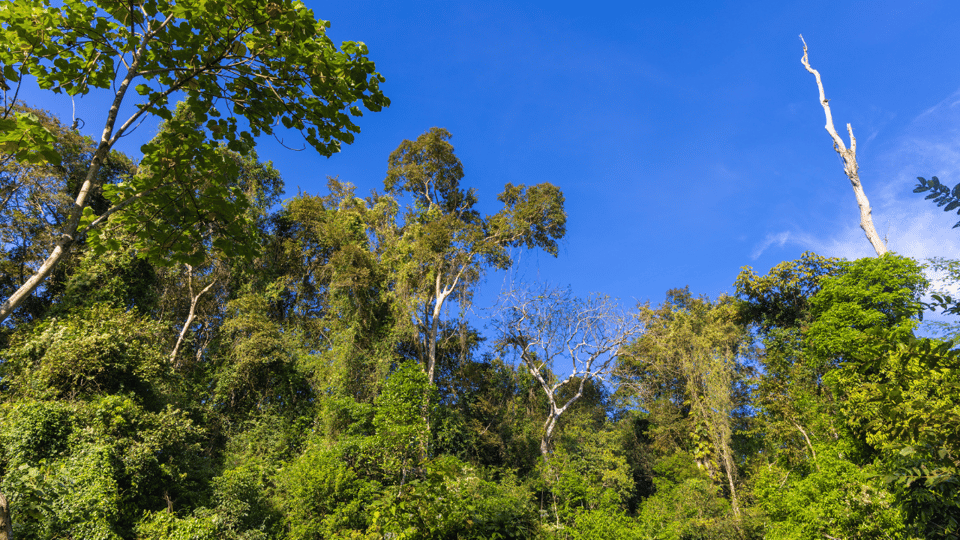 Cat Tien National Park with Crocodile Lake - Key things that make this tour click