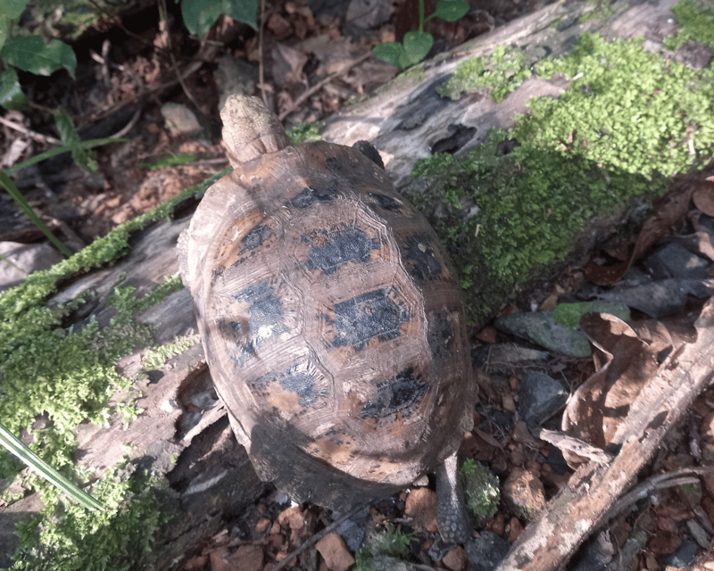 Cat Tien National Park with Crocodile Lake - Practical Tips That Actually Help You Enjoy Cat Tien