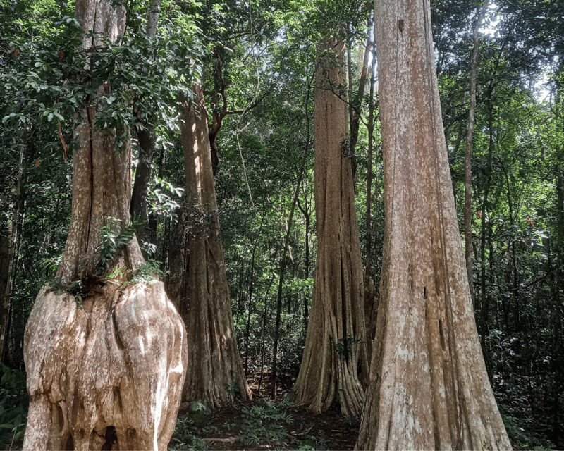 Cat Tien National Park with Crocodile Lake - Green Hope Lodge Comfort, Meals, and the Pace of the Countryside