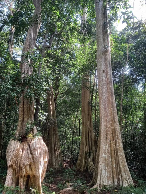 Cat Tien National Park with Crocodile Lake - Price and Value: Is $165 Fair for What You Get?