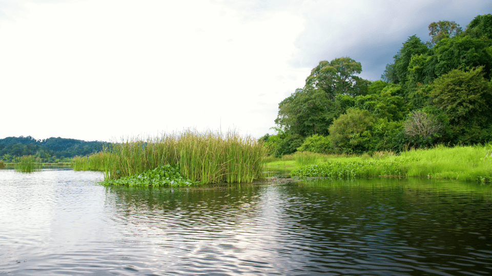 Cat Tien National Park with Crocodile Lake - Who This Tour Suits Best (and Who Might Struggle)