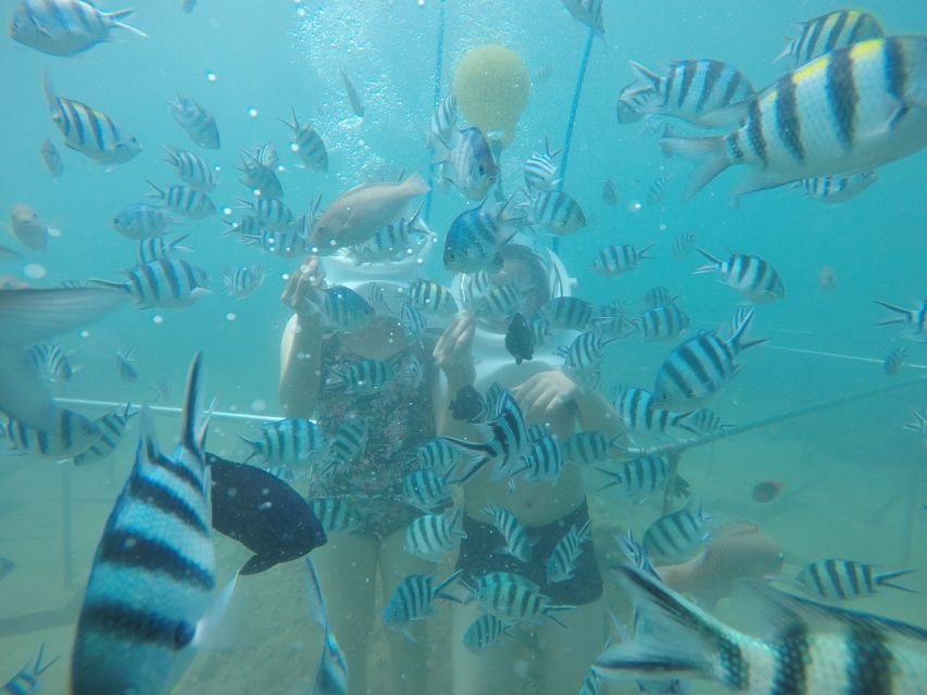 Cham Island: Underwater Walking & Snorkeling Tour - Key things to know before you go
