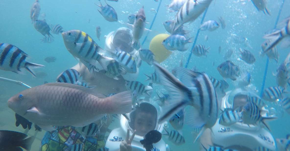Cham Island: Underwater Walking & Snorkeling Tour - Cham Island sea walking: why this tour feels different