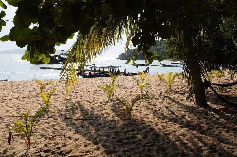 Cham Islands Snorkeling Tour by Speedboat : Hoi An/Da Nang - Quick hit checklist: what’s special about this Cham Islands trip