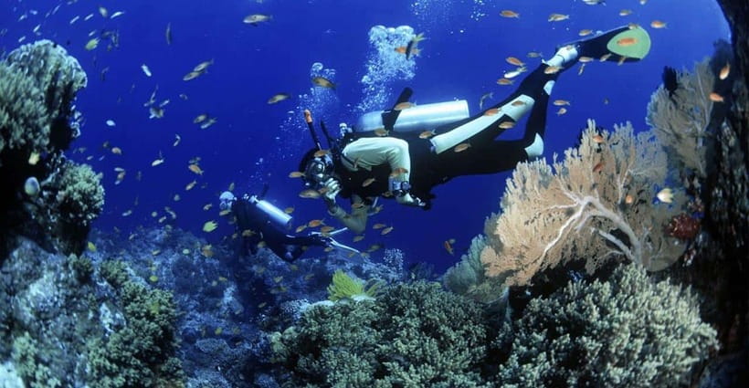 Cham Islands Snorkeling Tour by Speedboat : Hoi An/Da Nang - Marine Protected Area stops: more than just fish photos