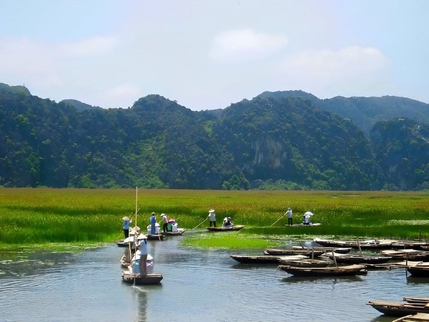 CUC PHUONG NATIONAL PARK - VAN LONG DAI LY TOUR DAY TRIP - Why This Cuc Phuong + Van Long Day Trip Makes Sense