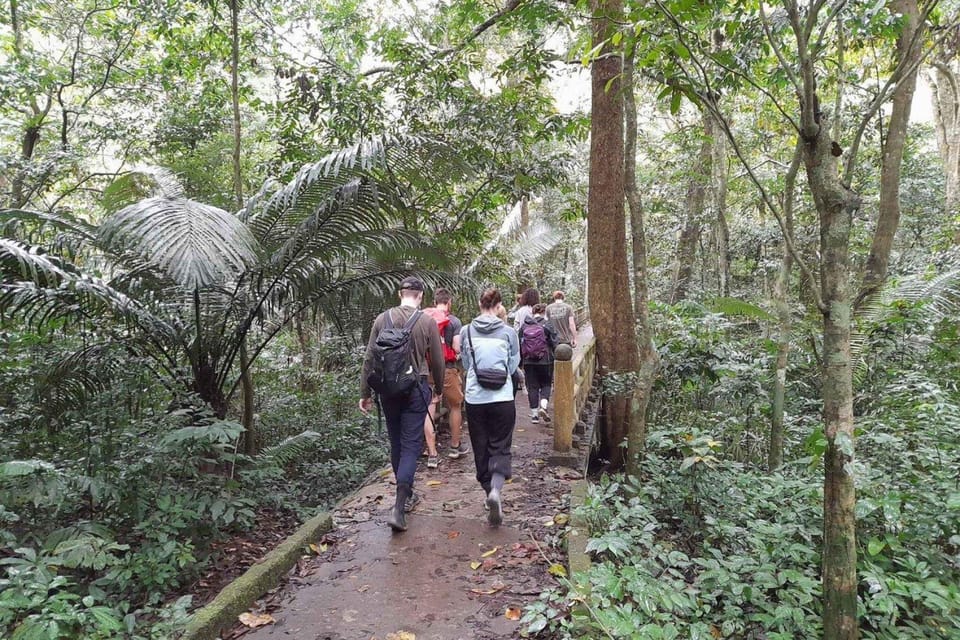 CUC PHUONG NATIONAL PARK - VAN LONG DAI LY TOUR DAY TRIP - Walking Through Human Time: Nguoi Xua Cave + the 1,000-Year Tree