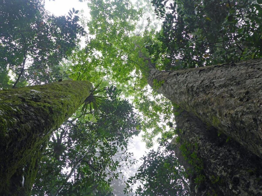 CUC PHUONG NATIONAL PARK - VAN LONG DAI LY TOUR DAY TRIP - When Weather Changes the Game (and Why You Should Care)