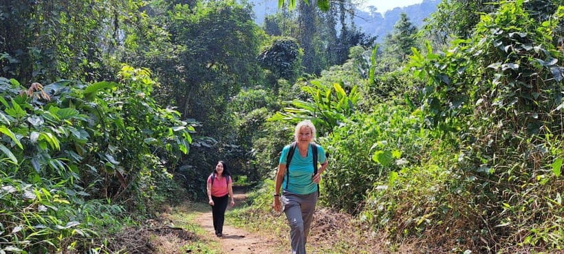 Cuc Phuong National Park - Van Long Day Trip From Hanoi - Key Things I’d Put on Your Radar