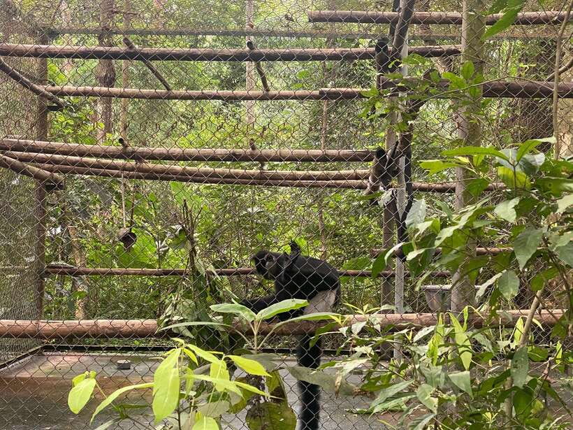 Cuc Phuong National Park - Van Long Day Trip From Hanoi - Value, Price, and What You’re Actually Getting for $76