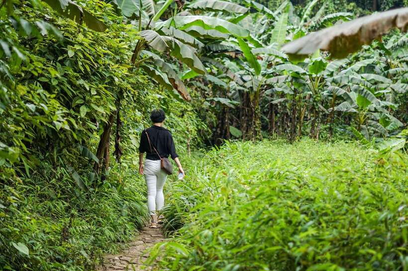 Cuc Phuong National Park - Van Long Day Trip From Hanoi - Who This Tour Fits Best