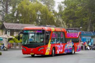 Da Lat: City Sightseeing Hop-On Hop-Off Bus Tour - Price and value: is $19 a smart spend