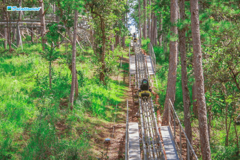 Da Lat: Datanla New Alpine Coaster Experience Entry Ticket - Key things to know before you go