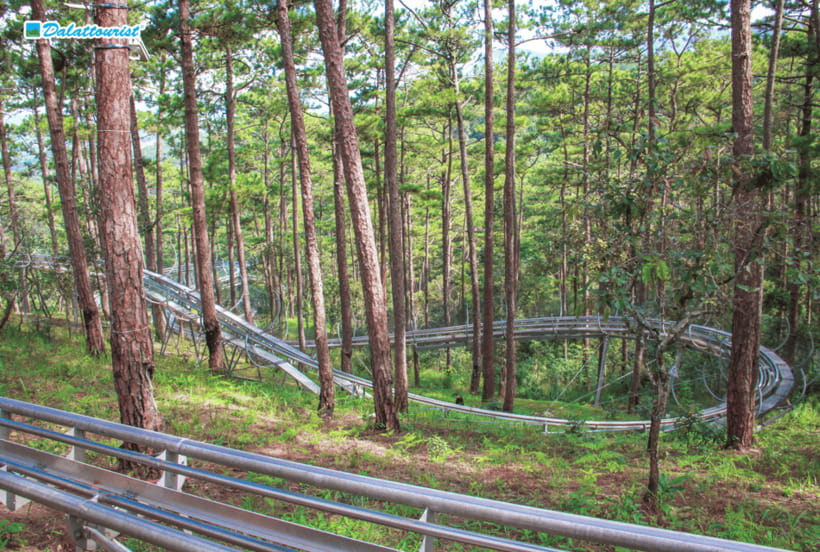 Da Lat: Datanla New Alpine Coaster Experience Entry Ticket - The 2,400m Alpine Coaster Run Through Da Lat Pines