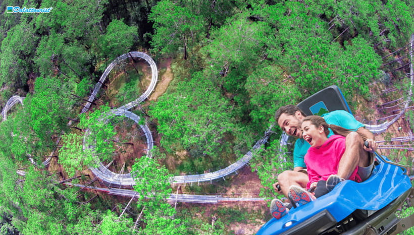 Da Lat: Datanla New Alpine Coaster Experience Entry Ticket - What Else You Can Do at Datanla (Beyond This Ticket)