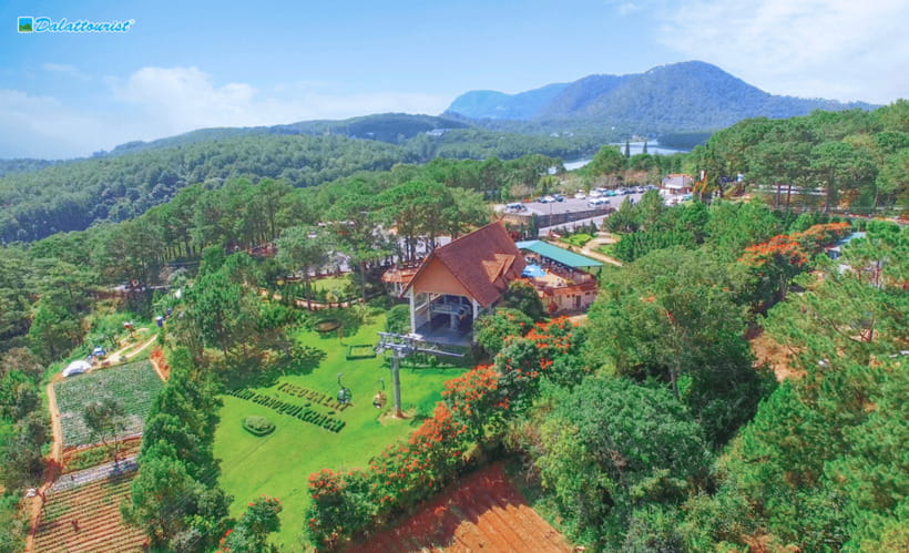 Da Lat: Robin Hill Cable Car Ticket - What the ride feels like: calm climbing, treetops, and wide views