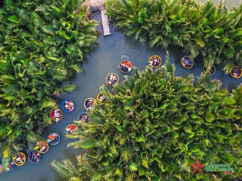 Da Nang: Marble Mountains, Hoi An, and Coconut Forest Tour - Da Nang pickup, an 8-hour day, and whether it feels like good value
