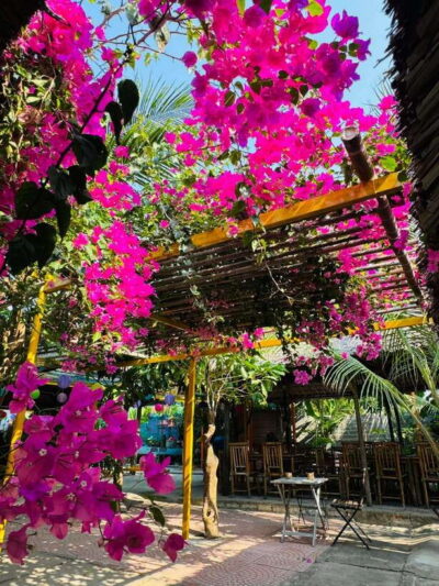 Da Nang: Marble Mountains, Hoi An, and Coconut Forest Tour - Marble Mountains and Non Nuoc Village: stone sculptures and cave-temple calm