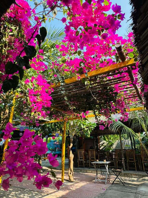 Da Nang: Marble Mountains, Hoi An, and Coconut Forest Tour - Marble Mountains and Non Nuoc Village: stone sculptures and cave-temple calm