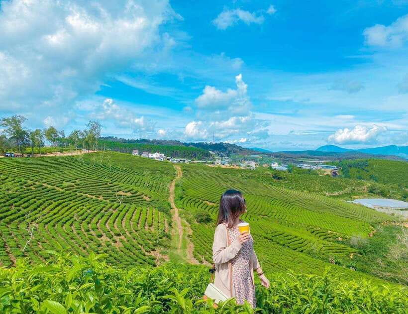 DaLat: Sunrise, Clouds, Peaceful Mornings from 4:00 to 10:00 - Loi Cua Gio café: a Northwest-style pause with valley views