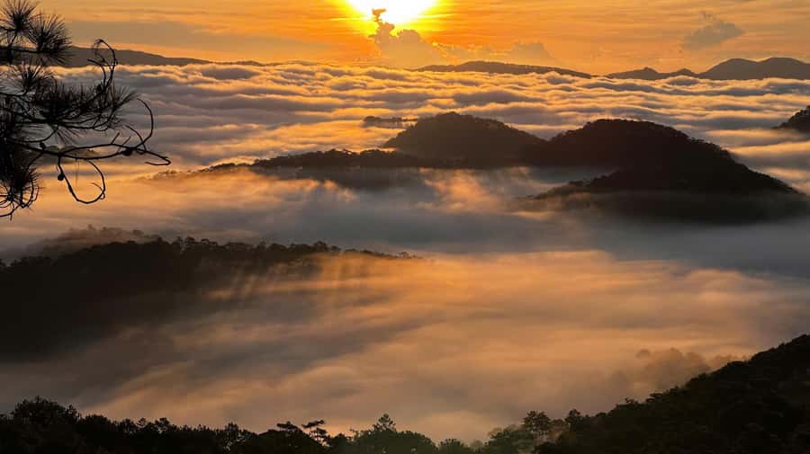 Dalat: Sunrise Trekking and Cloud Hunting experience - Price and Value: Is $36 a Good Deal for This Kind of Morning?