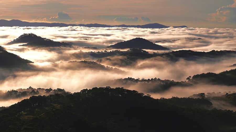 Dalat: Sunrise Trekking and Cloud Hunting experience - Who This Tour Fits Best (and Who Should Skip It)