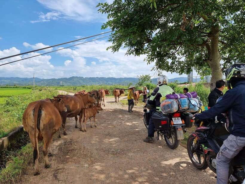Dalat to Cat Tien National Park & Ho Chi Minh (2 or 3 Days) - Who this tour fits best (and who should think twice)