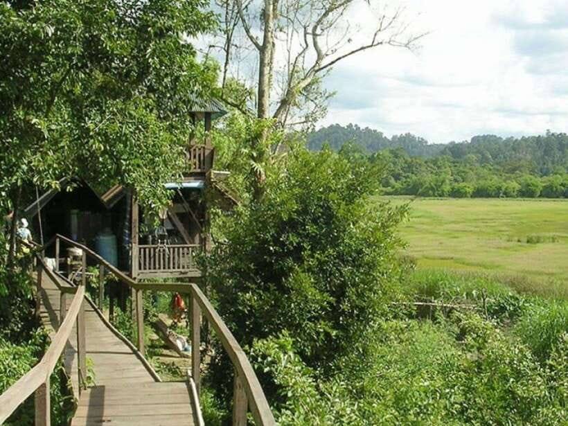 Dalat to Cat Tien National Park & Ho Chi Minh (2 or 3 Days) - Price and value: what $317 covers (and what it doesn’t)